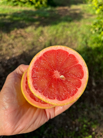 Pompelmo rosa