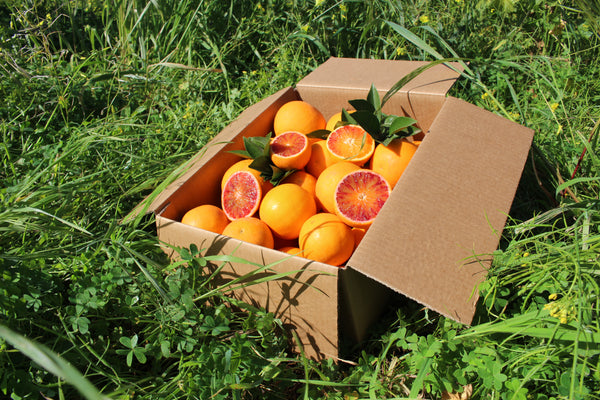 Naranjas sanguinas Tarocco