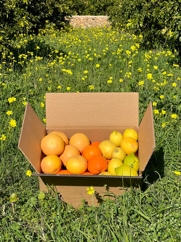 Mixed citrus fruit box